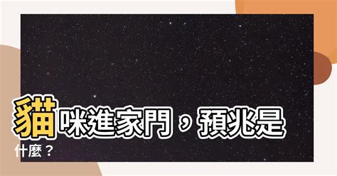 貓進家裡|動物進家門有什麼樣的預示，這5種動物進門會好運不。